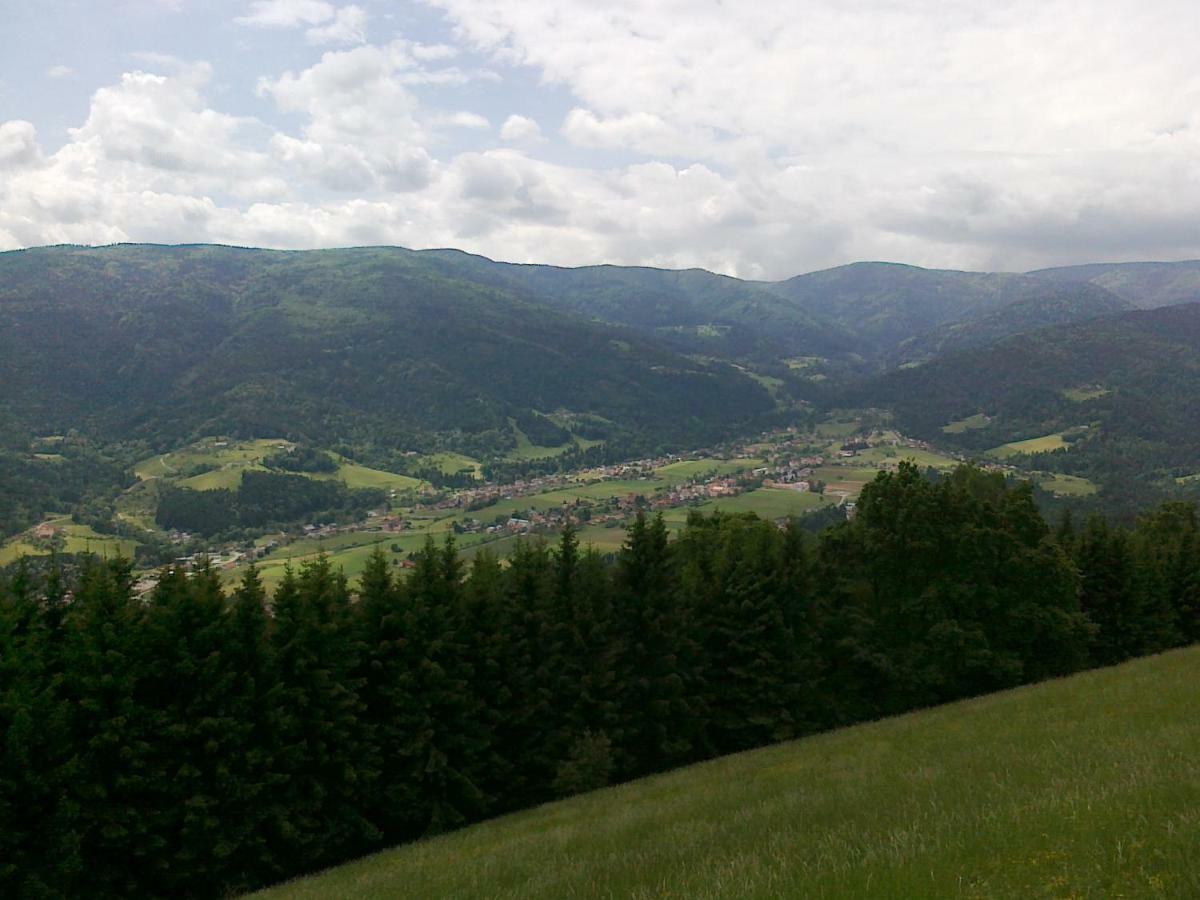 Pocitniska Hisa Koca Dobnik Villa Lovrenc na Pohorju Kültér fotó