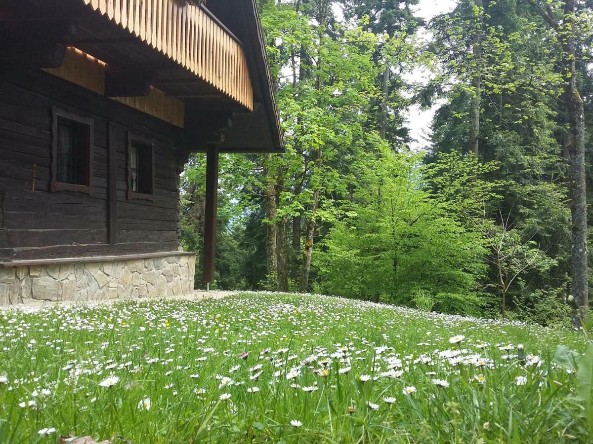 Pocitniska Hisa Koca Dobnik Villa Lovrenc na Pohorju Kültér fotó